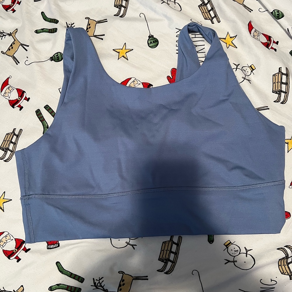 Aerie blue sports bra